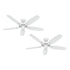 PACK X2 VENTILADOR DE TECHO HUNTER BUILDER ELITE BLANCO 52"