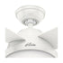 PACK X2 VENTILADOR DE TECHO HUNTER DANTE BLANCO 44"