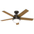 PACK X2 VENTILADOR DE TECHO HUNTER STILE BRONCE 46"