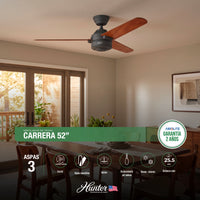 PACK X2  VENTILADOR TECHO CARRERA CAFE