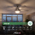 VENTILADOR DE TECHO HUNTER 46" STILE